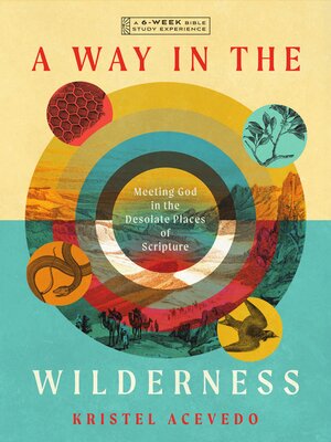 cover image of A Way in the Wilderness